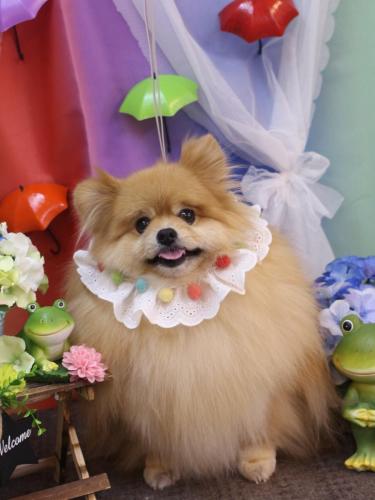 20230616梛都ちゃん